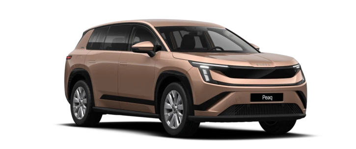 Škoda Peaq Selection 60 Bild