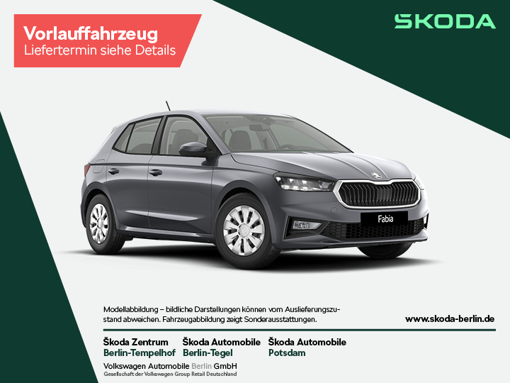 Fabia Selection 1,0 TSI DSG – FahrzeugID 29033