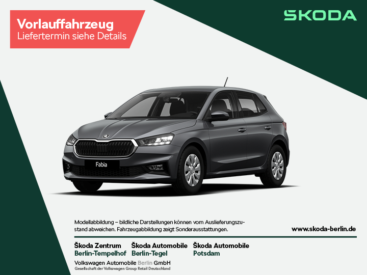 Fabia Selection 1,0 TSI DSG – FahrzeugID 29959